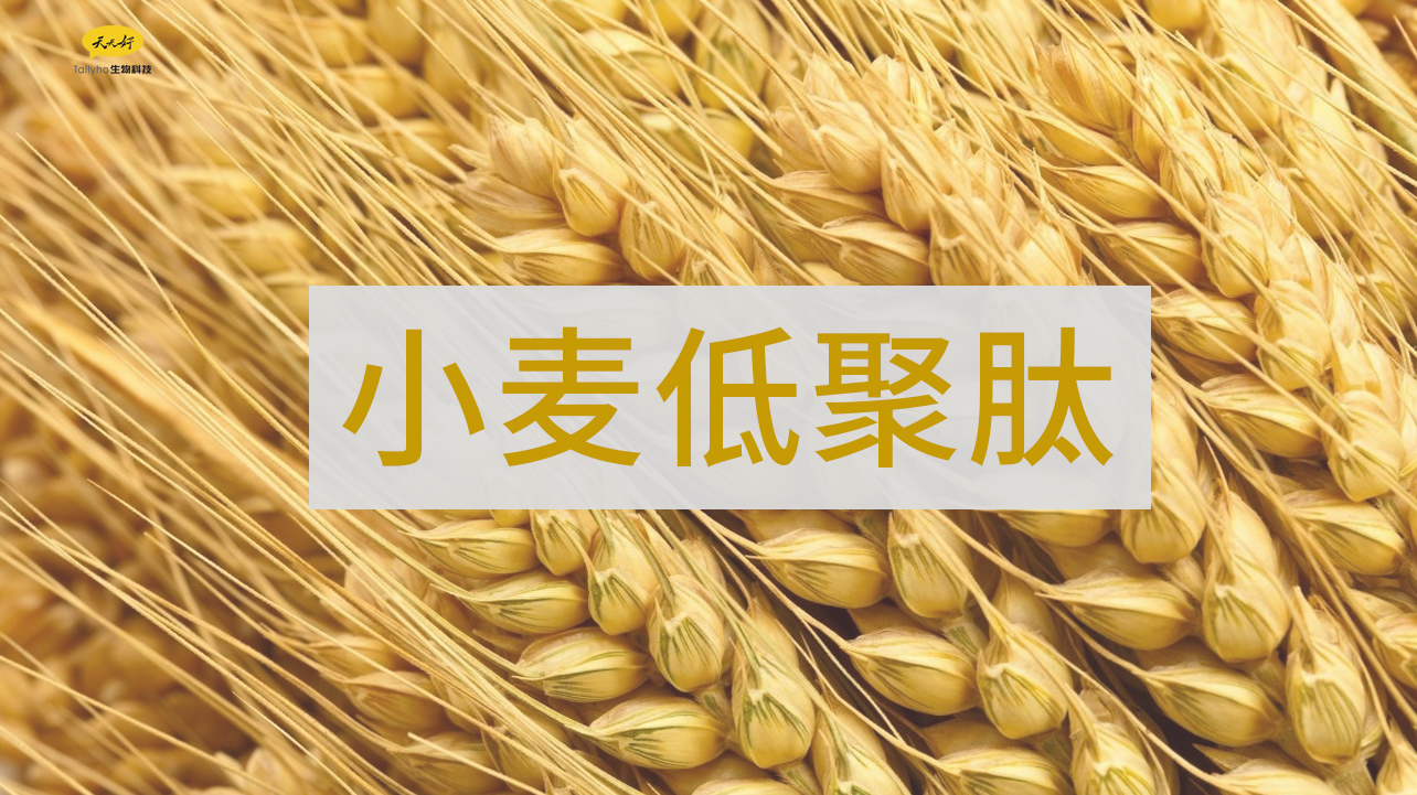 微信图片_20201118165814.jpg